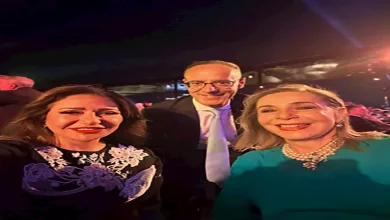 صورة ليلى علوي تنشر صورًا وفيديوهات مع يسرا وهالة صدقي في حفل عمرو دياب