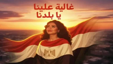 صورة نجوم الفن والجمهور يدعمون شيرين عبدالوهاب بعد إعلانها عن مفاجأة