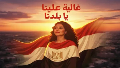 صورة قبل إعلان شيرين عن طرحها.. “غالية علينا يا بلدنا” أغنية أشعلت غضب عمرو