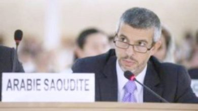 صورة الأمم المتحدة تعتمد مقرراً سعودياً فرنسياً  أخبار السعودية