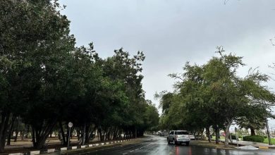 صورة «الأرصاد»: أمطار غزيرة على منطقة نجران  أخبار السعودية