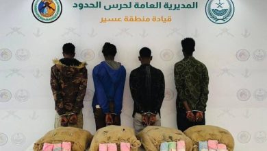 صورة القبض على 4 مخالفين لنظام أمن الحدود لتهريبهم 80 كيلوغراماً من القات المخدر بعسير  أخبار السعودية