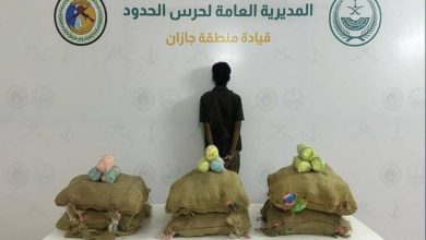 صورة «حرس الحدود»: القبض على مخالف لنظام أمن الحدود لتهريبه 100 كيلوجرامٍ من القات بجازان  أخبار السعودية