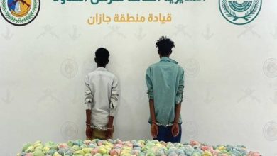 صورة جازان: القبض على مخالفين لنظام أمن الحدود لتهريبهما (260) كغم من القات  أخبار السعودية