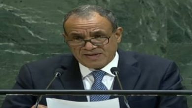 صورة وزير الخارجية المصري يُحذر من مخطط إسرائيلي “خطير” لفصل غزة عن الضفة الغربية
