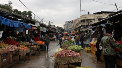 صورة “الإحصاء”: انخفاض الرقم القياسي لأسعار المستهلك بنسبة 13.53%