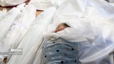 صورة في يوم الطفل العالمي.. استشهاد أكثر من 19 ألف طفل من طلبة المدارس في فلسين..