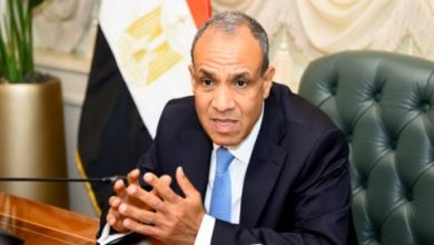 صورة وزير الخارجية المصري يدعو إلى نشر قوة استقرار دولية في غزة “بأسرع وقت”