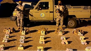 صورة إحباط تهريب 76 كيلوجرامًا من مخدر القات بمنطقة جازان