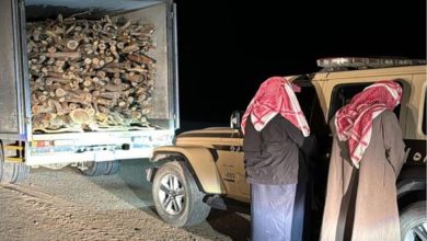 صورة ضبط مواطنين مخالفين لنظام البيئة لنقلهما حطبًا محليًّا في منطقة المدينة المنورة