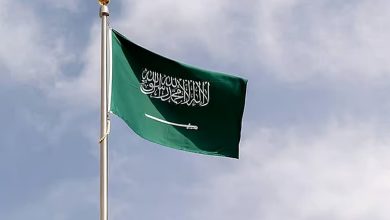 صورة مصر تشيد بدور السعودية في دعم مؤتمر حل الدولتين