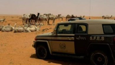 صورة ضبط مواطن لارتكابة مخالفة رعي في محمية الإمام تركي بن عبدالله الملكية
