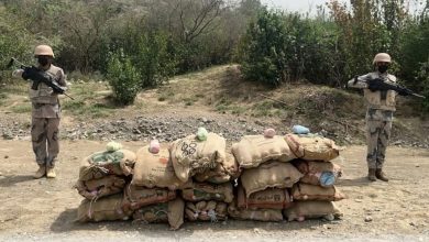 صورة إحباط تهريب أكثر من 237 ألف قرص خاضع لتنظيم التداول الطبي بجازان