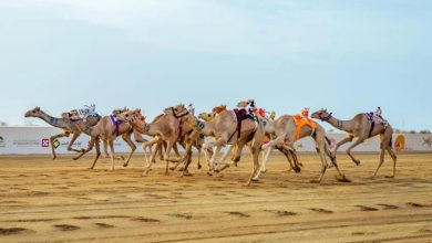 صورة اليوم.. انطلاق منافسات فئة “الثنايا” ضمن مهرجان ولي العهد للهجن 2025