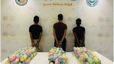صورة حرس الحدود بعسير يقبض على 3 يمنيين لتهريبهم 66 كيلوجرامًا من القات المخدر