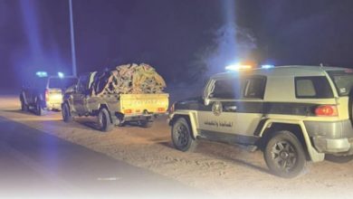 صورة ضبط مواطن مخالف لنظام البيئة في منطقة حائل