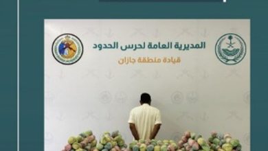 صورة حرس الحدود يحبط تهريب 291 كجم من القات والحشيش في عسير وجازان