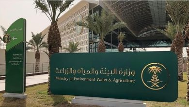 صورة ضوابط الوزارة تهدف إلى حماية المستهلك وتعزيز تنافسية المنتجات الزراعية