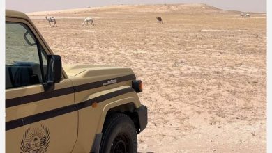 صورة ضبط مقيم نيبالي بعد تفريغ مواد خرسانية في المنطقة الشرقية ومواطن بسبب الرعي بمحمية الملك عبدالعزيز الملكية