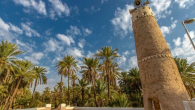 صورة فتح الاستثمار للقطاع الخاص بمجال البيئة يطور السياحة البيئية