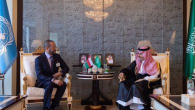 صورة وزير الخارجية يلتقي نظيره العُماني ويستعرضان العلاقات بين البلدين
