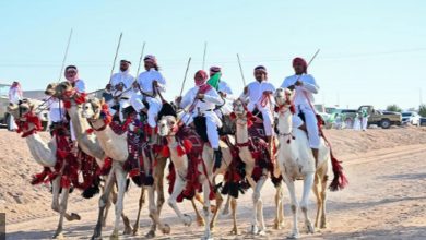 صورة بمسيرات للهجن والخيول.. أهالي محافظة حقل يحتفلون باليوم الوطني الـ 95