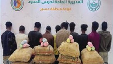 صورة حرس الحدود بعسير يقبض على 10 إثيوبيين لتهريبهم 150 كيلوجرامًا من القات المخدر