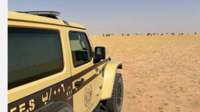 صورة ضبط مواطن لارتكابه مخالفة رعي في محمية الملك عبدالعزيز الملكية