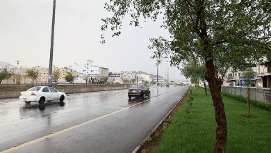 صورة موسم الأمطار الغزيرة يطرق الأبواب.. و«الوسم» يبدأ 24 ربيع الثاني