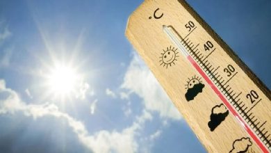 صورة الخرج الأعلى حرارة بـ42 مئوية.. والسودة الأدنى