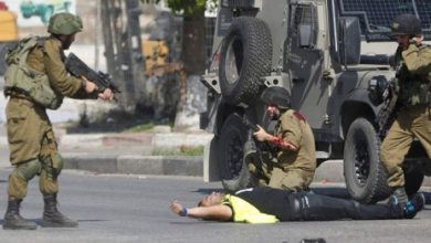 صورة الجيش الإسرائيلي يُعدم فلسطينيًا بالرصاص قرب مدينة جنين..