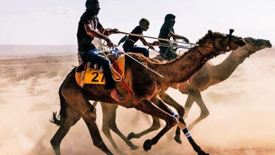 صورة وزير الشتات الإسرائيلي يهين السعودية مجدداً: ندعوهم لسباق الهجن في النقب..