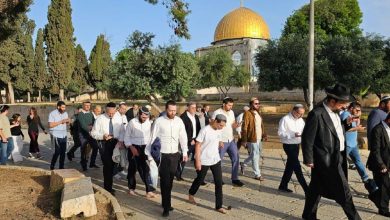 صورة مستعمرون يقتحمون المسجد الأقصى – سما الإخبارية