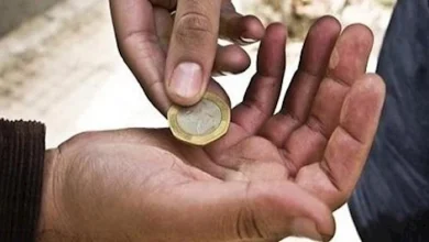 صورة ما حكم صرف الزكاة في رعاية ذوي الهمم وتقديم الخدمات لهم؟.. الإفتاء توض