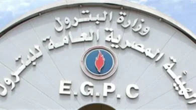 صورة خلال أكتوبر الجاري.. هيئة البترول تكثف حملاتها لضبط المتلاعبين بالوقود
