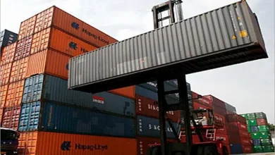 صورة ارتفاع واردات مصر من الذرة الصفراء 9% بدعم قطاع الدواجن