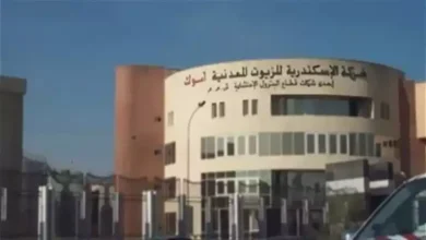 صورة أرباح “أموك” تنخفض 4% في أول 9 أشهر من 2025
