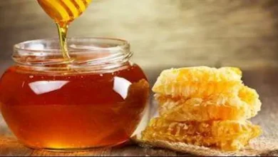 صورة بين تقلب الفصول.. 4 فوائد صحية للعسل النحل