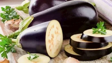 صورة الباذنجان الأسود.. خضار غني بالمغذيات يحمي القلب ويقوّي المناعة