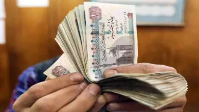 صورة جنيه قوي أم ضعيف.. أيهما أفضل للاقتصاد المصري؟ خبراء يجيبون