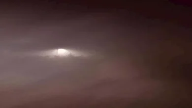 صورة نصائح لقيادة السيارة بأمان في الضباب