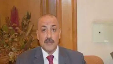 صورة شعبة الخضروات والفاكهة: خفض الفائدة ينشط السوق ويوازن الأسعار