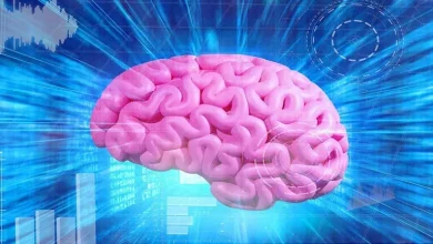 صورة 6 علامات مبكرة قد تكشف ورما في الدماغ.. لا تتجاهلها