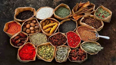 صورة نوع أعشاب مضاد للبكتيريا ويحارب العدوى.. تناوله