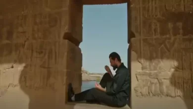 صورة تشويق وغموض.. الإعلان الرسمي لفيلم “قصر الباشا” استعدادا لعرضه بالسينم