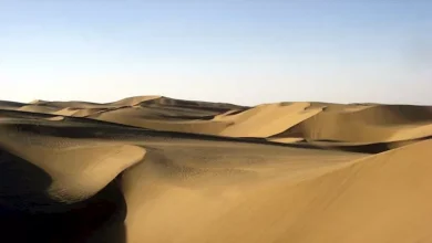 صورة معجزة الصحراء.. قمر صناعي يلتقط نهرا يتدفق في قلب صحراء الصين