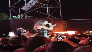 صورة بالصور| نانسي عجرم تُحيي حفلًا غنائيًا على هامش فعاليات مهرجان الجونة