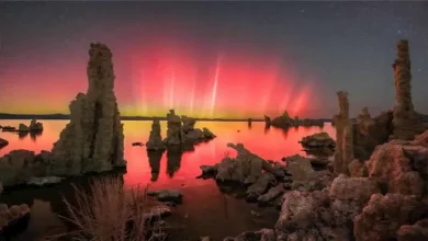 صورة تحدي الظلام.. 25 صورة تجسد أروع مشاهد الشفق القطبي ودرب التبانة 2025