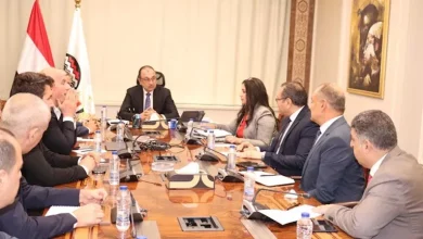 صورة وزير قطاع الأعمال ييبحث مع مجموعة إروجلو العالمية تشغيل مصانع النسيج