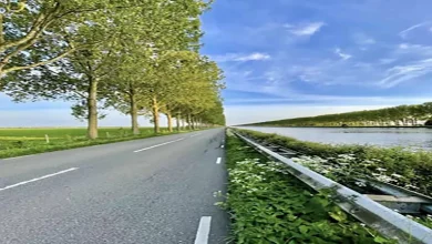 صورة 25 لقطة مذهلة تبدو مستحيلة لكنها حقيقية 100%